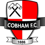 Logo Cobham