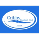 Logo Cribbs